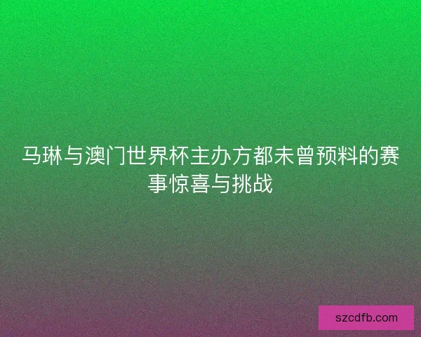 马琳与澳门世界杯主办方都未曾预料的赛事惊喜与挑战